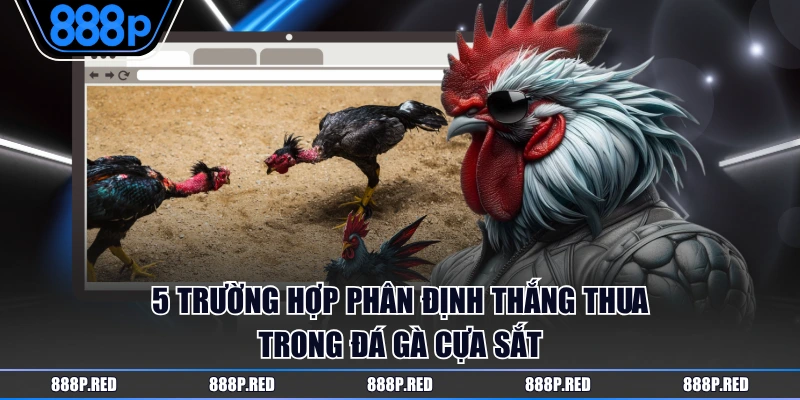 5 trường hợp phân định thắng thua trong đá gà cựa sắt