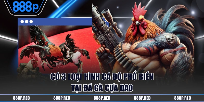 Có 3 loại hình cá độ phổ biến tại đá gà cựa dao