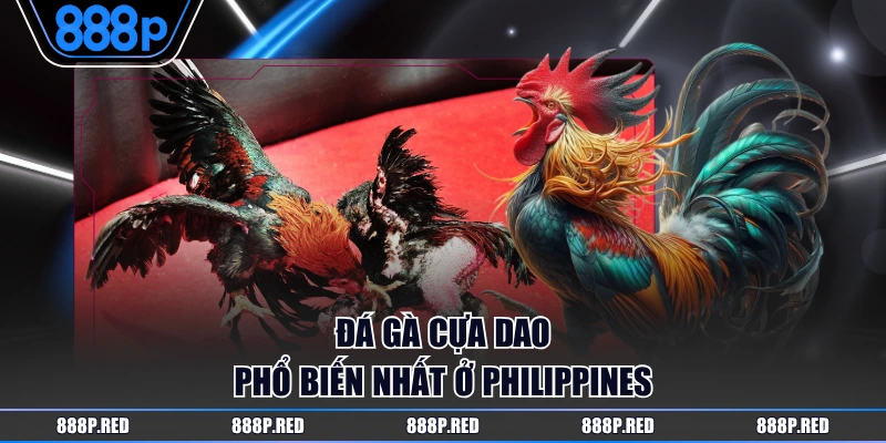 Đá gà cựa dao phổ biến nhất ở Philippines