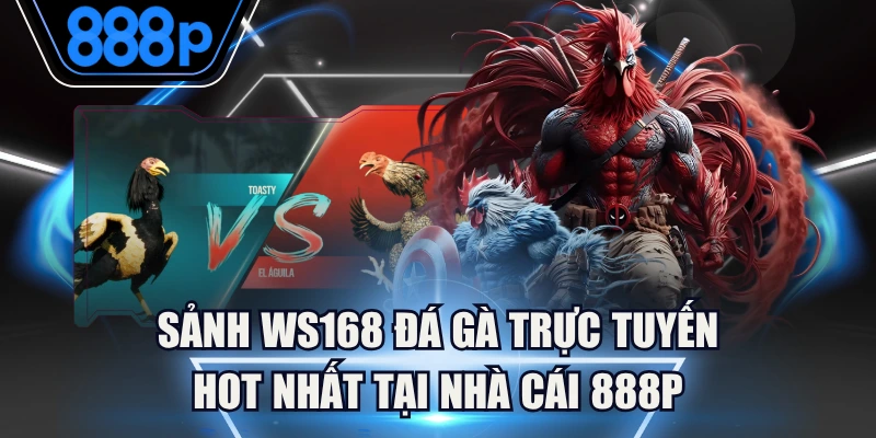 Sảnh WS168 Đá Gà Trực Tuyến Hot Nhất Tại Nhà Cái 888P 4 Sảnh WS168 Đá Gà Trực Tuyến Hot Nhất Tại Nhà Cái 888P